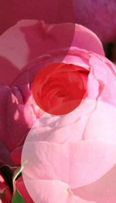 business card joy arts front