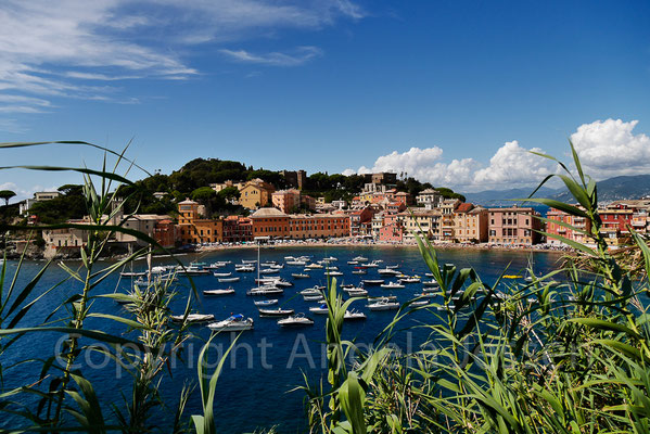 Italien - d -