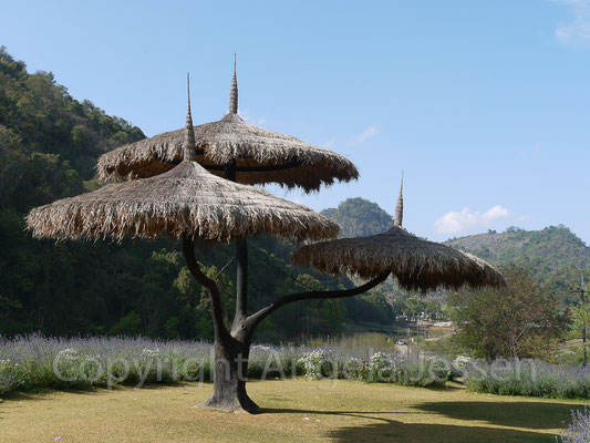 Thailand - c -