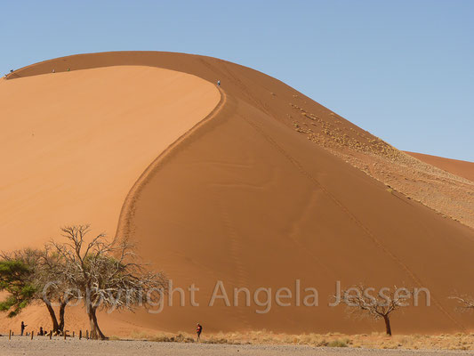Afrika - d -