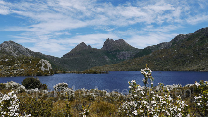 Tasmanien - a -