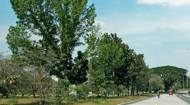 Creekside Road going to Centennial Road 