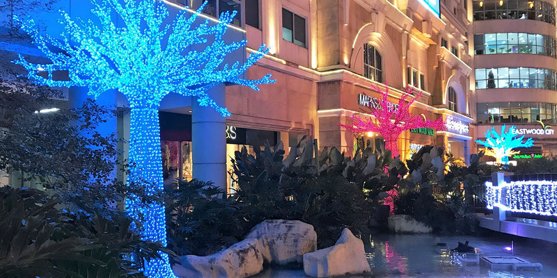 Christmas Trees with Blue and Pink Lights at the Open Park of Eastwood Mall