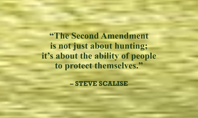Second Amendment Quote from Steve Scalise