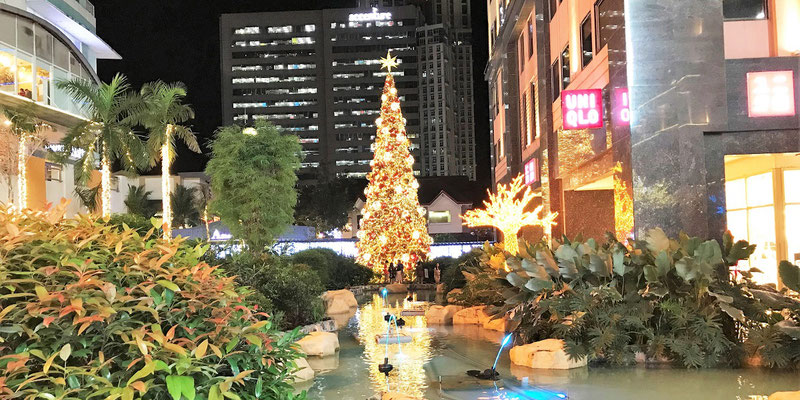 Main Christmas Tree and a Small Christmas Tree