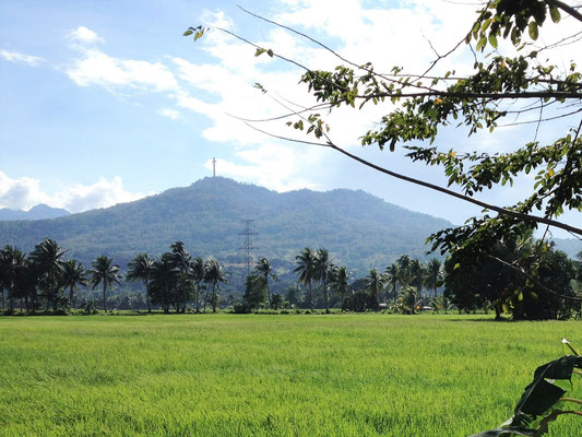 Rice Fields, Mount Samat, Philippines