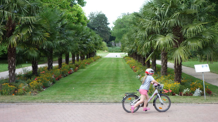 Giardino Botanico Flora Benvenuti A Colonia In Germania Eventi E Aiuto