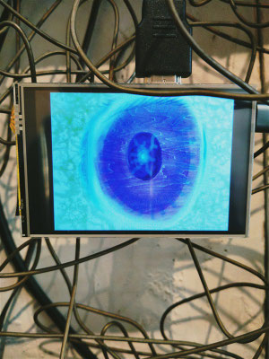 5/3（土）作品タイトル「視床から下垂体」の向かって左の四角窓の映像