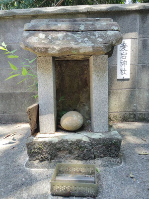 若一神社の境内で見つけた丸石神（民間信仰の対象石）
