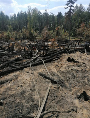 Umgegrabene Brandstelle inmitten der Borkenkäferfläche am Kleinen Winterberg. Foto © FFW Scharfenstein/privat