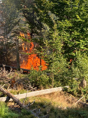 Am Reitsteig geriet eine 15 Jahre alte Borkenkäferfläche in Brand. Foto © FFW Scharfenstein/privat