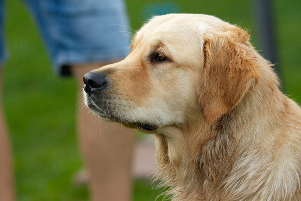 Ronja