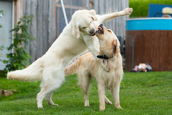 Kaya und Maddie