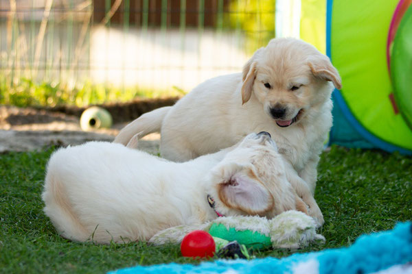 Ronja und Vanya