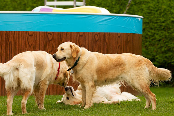 Enya, Smilla und Maddie 
