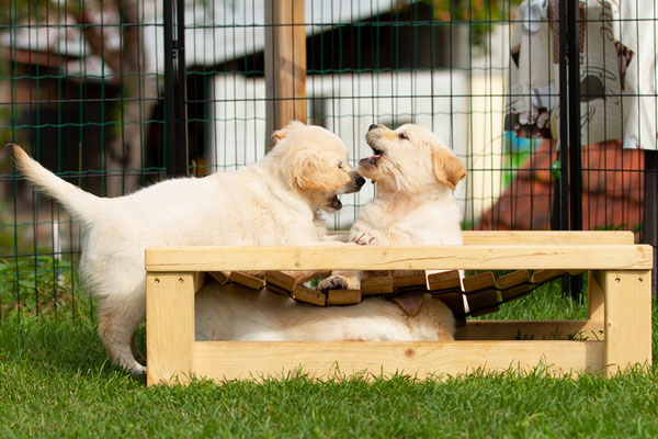 Smilla und Ronja