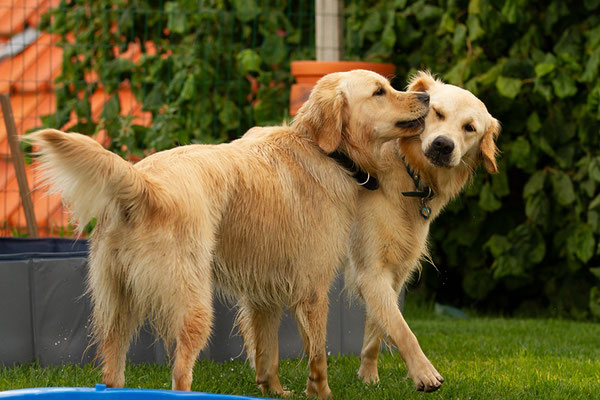 Kaya und Smilla