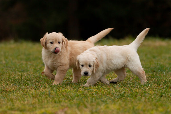 Clara und Lotte