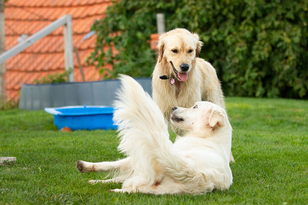 Maddie und Kaya