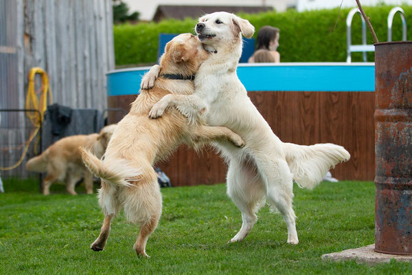 Kaya und Maddie