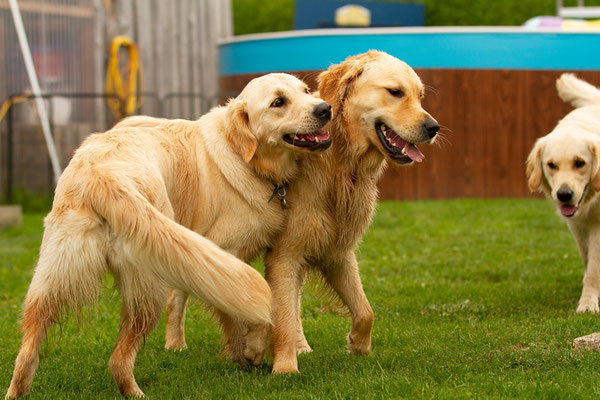 Smilla und Ronja
