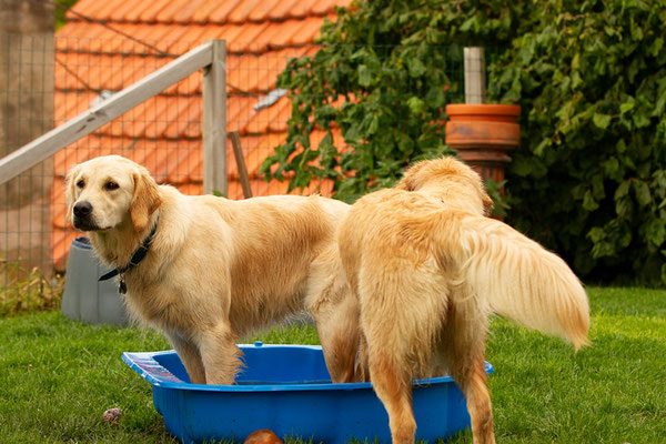 Smilla und Ronja