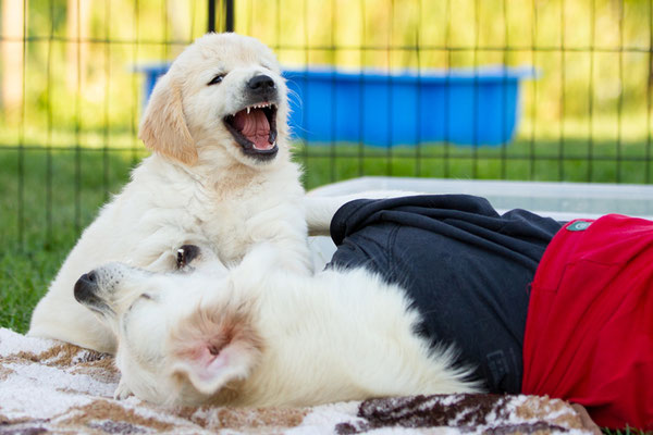Enya und Maddie