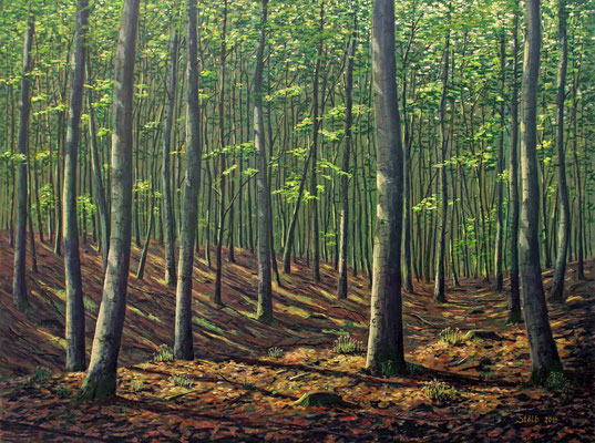 Morgen im Buchenwald, 90 x 120 cm, unverkäuflich
