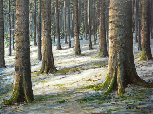 Spätwinter im Fichtenaltholz, 75 x 100 cm, unverkäuflich