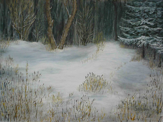 Sumpfige Waldlichtung im Winter, 60 x 80 cm, unverkäuflich