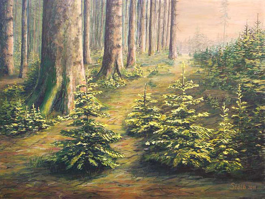 Junge Fichten am Saum, 60 x 80 cm, 480 €