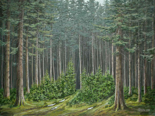 Fichtenjungwuchs in altem Käferloch, 90 x 120 cm, 600 €