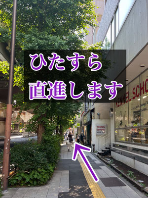 ⑥ 飲食店やトリミングスクールなどの前を通過します。（道順6）
