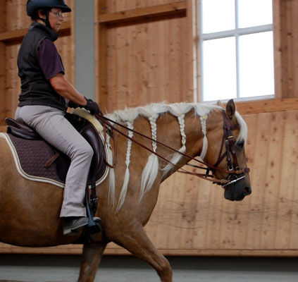 Während der ersten Zeit als Reitpferd haben wir Colleen mit dem Kappzaum und der Trense geritten. Das hat sich als sehr gut bewährt.