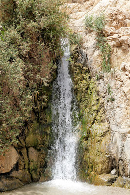 Wasserfall in En Gedi