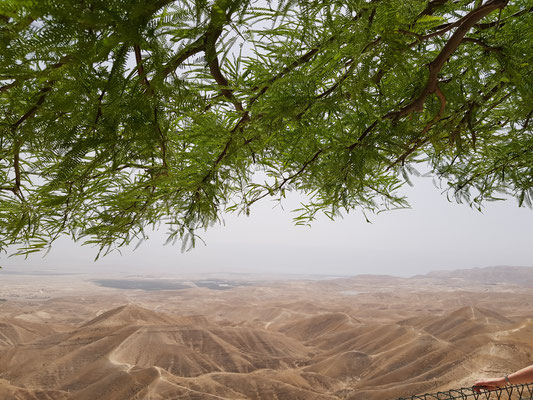 Mitzpe Jericho