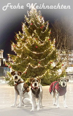 Brezel, Ebba & Bernie