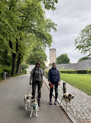 Wanderung zur Sparrenburg