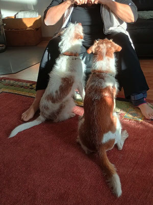 Deery & Denzel