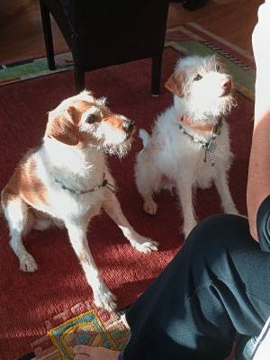 Denzel & Deery