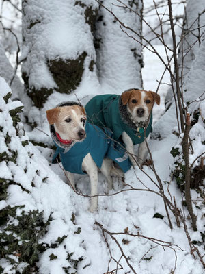 Brezel & Ebba
