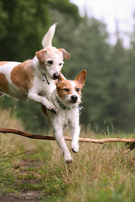 Brezel & Ebba