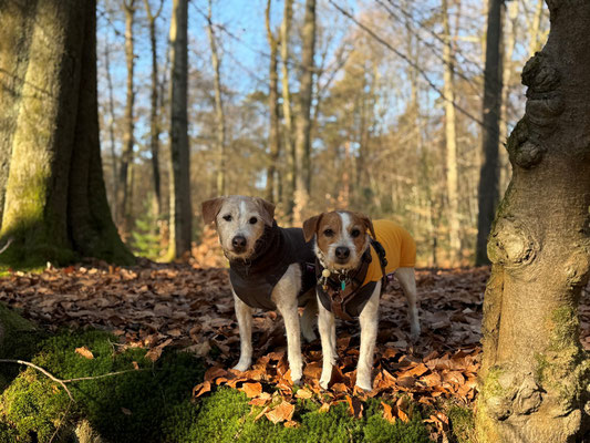 Brezel & Ebba