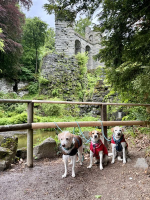 Frida, Ebba & Brezel
