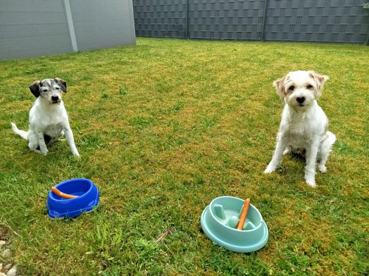 Bruma und Ceeke