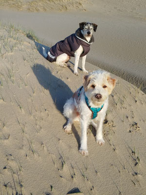 Ceeke & Bruma