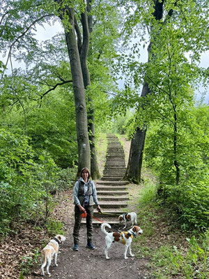 die Lämmershagener Treppen...