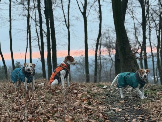 Brezel, Bernie und Ebba