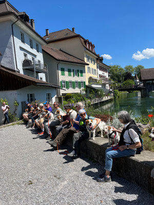 Schweizer Kromiclub Treffen
