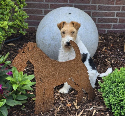 Frieda, die Frau im Mond